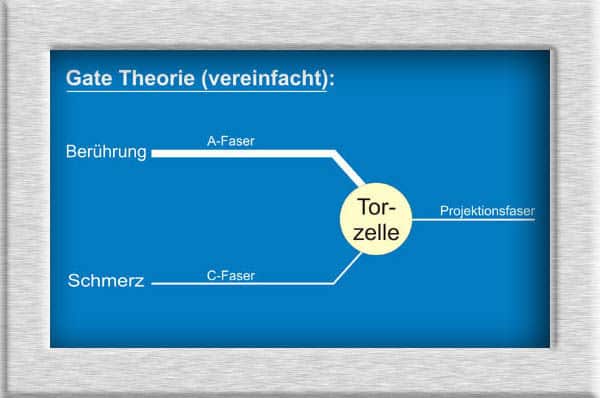 Gate Control Theorie